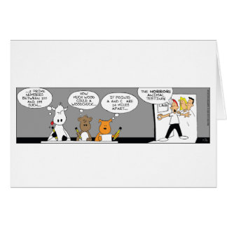 Funny Animal Testcard