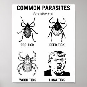 Funny Anti Trump Gemeinsamer Parasit Luna Tick Poster