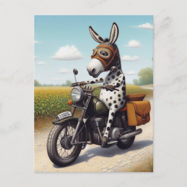 Funny Appaloosa Mule auf einem Motorrad Postkarte (Vorderseite)