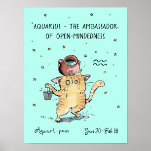 Funny Aquarius Poster Zodiac Cat Star Schild Poste