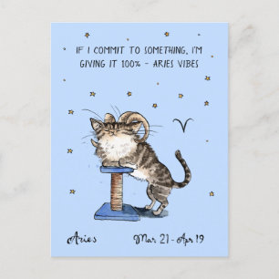 Funny Aries Postcard Zodiac Cat Star Schild Postkarte