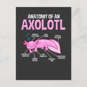 Funny Axolotl Anatomie Biologie Niedlich Amphibien Postkarte