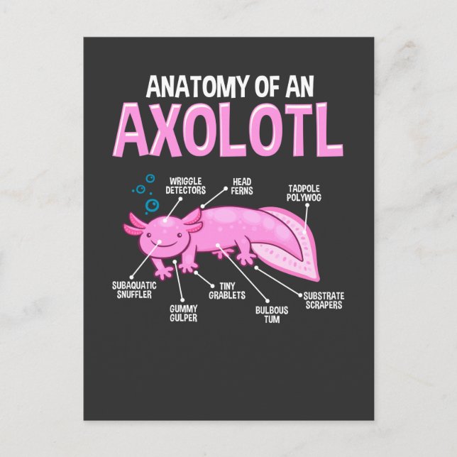 Funny Axolotl Anatomie Biologie Niedlich Amphibien Postkarte (Vorderseite)