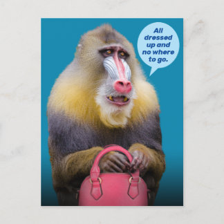 Funny Baboon alle bedrängt - nein, wohin geht Postkarte