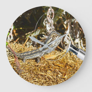 Funny Baby Bearded Dragon, Wall Clock Große Wanduhr