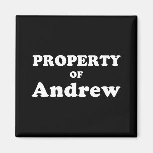 Funny Bachelorette Geschenke für Brauteigentum von Magnet