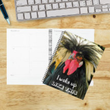 Funny Bad Hair Chicken Foto Meme