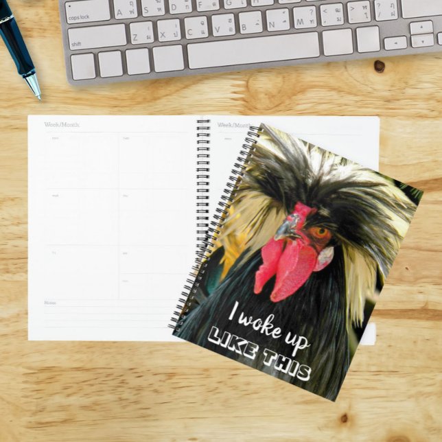 Funny Bad Hair Chicken Foto Meme Planer (In Situ)
