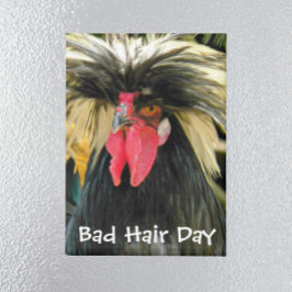 Funny Bad Hair Day Chicken Meme Magnet
