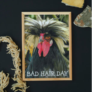 Funny Bad Hair Day Chicken Meme Poster