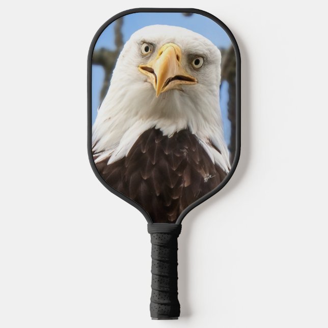 Funny Bald Eagle Face Wildlife Fotografy Pickleball Schläger (Vorderseite)