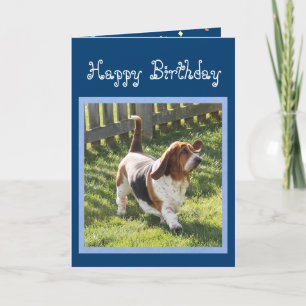 Funny Basset Hound on Niedliche Geburtstag Card w/ Karte