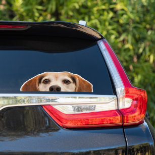 Funny Beagle Hund Halbschau Aufkleber