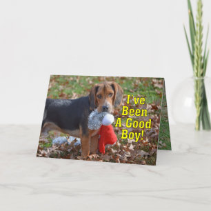 Funny Beagle, ich war ein guter Junge Weihnachten
