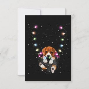 Funny Beagle in Pocket Weihnachten Weihnachtsgesch RSVP Karte