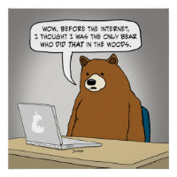 Funny Bear Surfen im Internet