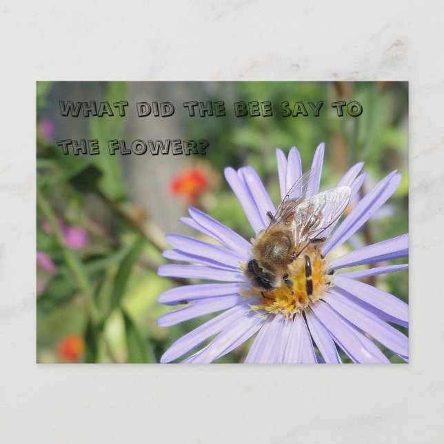 Funny Bee Postcard Postkarte (Vorderseite)