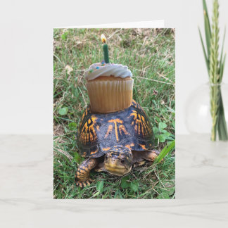 Funny Belated Birthday Card Karte