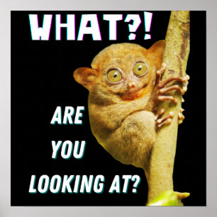 Funny Big Mit Augen Tarsier Was Sie sehen Poster