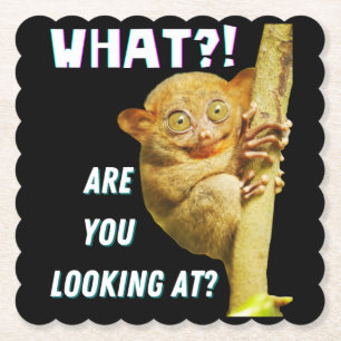 Funny Big Mit Augen Tarsier Was Sie sehen Untersetzer