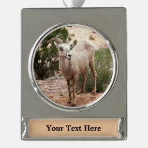 Funny Bighorn Sheep im Zion Nationalpark Banner-Ornament Silber