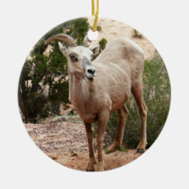 Funny Bighorn Sheep im Zion Nationalpark Keramikornament