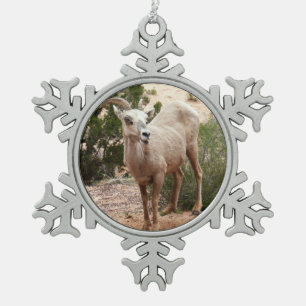Funny Bighorn Sheep im Zion Nationalpark Schneeflocken Zinn-Ornament