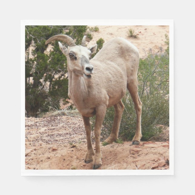 Funny Bighorn Sheep im Zion Nationalpark Serviette (Vorderseite)