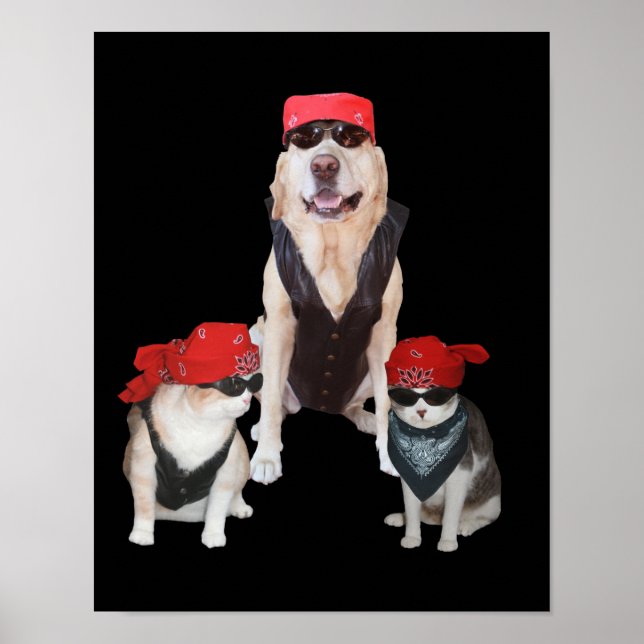 Funny Biker Pets Poster (Vorne)