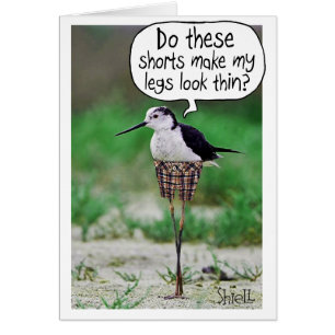 FUNNY BIRD SHORD Card oder Geschenk