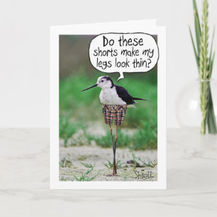 FUNNY BIRD SHORD Card oder Geschenk Karte