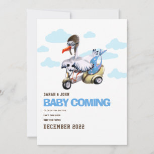 Funny Bird Simple Cute Modern Boy Pregnancy Ankündigung