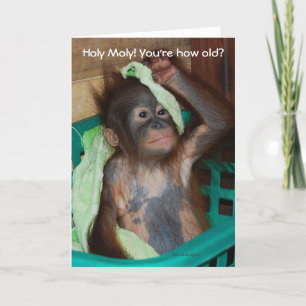 Funny Birthday Baby Orangutan Karte
