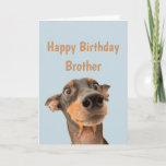 Funny Birthday Brother schockiert Hund Tier Spaß Karte<br><div class="desc">Viel Spaß beim Geburtstag,  sodass sich Ihr Haustier Sorgen macht.  Herzlichen Glückwunsch zum Geburtstag für Brother mit humorvollem Vers im Inneren und schockiertem Hund aussehend</div>