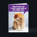 Funny Birthday Card für Old Geezer Karte<br><div class="desc">Dieses orangefarbene Tabby ist so angeekelt, dass er sich den Geburtstagsjungen nicht einmal ansehen kann... Ich gemein, Geburtstagsgärtner. Auf der Vorderseite steht: "Sag, das ist nicht so! Ich kann dich jetzt nicht einmal ansehen." Im Inneren der Karte geht es weiter mit: "Ich bin mit einem alten GEEZER befreundet! Alles Gute...</div>