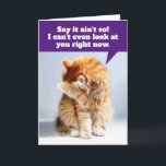 Funny Birthday Card für Old Geezer Karte<br><div class="desc">Dieses orangefarbene Tabby ist so angeekelt, dass er sich den Geburtstagsjungen nicht einmal ansehen kann... Ich gemein, Geburtstagsgärtner. Auf der Vorderseite steht: "Sag, das ist nicht so! Ich kann dich jetzt nicht einmal ansehen." Im Inneren der Karte geht es weiter mit: "Ich bin mit einem alten GEEZER befreundet! Alles Gute...</div>