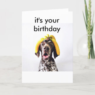 Funny Birthday Card Karte
