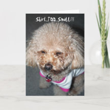 Funny Birthday Card