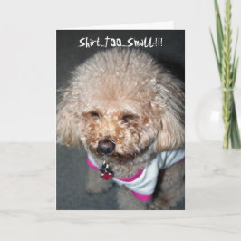 Funny Birthday Card Karte