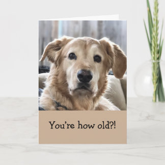 Funny Birthday Card Karte