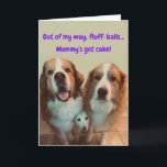 Funny Birthday Card Kurzer Hund mit flauschigen Hu Karte<br><div class="desc">Lassen Sie jemanden zum Geburtstag lächeln,  mit der Entschlossenheit des kleinen Mia in der Mitte ist sicherzustellen,  dass sie bemerkt wird! Big Gooody Flöff-Bälle Dawson und Zoya denken,  sie können ihre Leckereien stehlen,  aber zählen Mia nicht aus!</div>