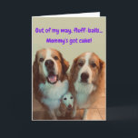 Funny Birthday Card Kurzer Hund mit flauschigen Hu Karte<br><div class="desc">Lassen Sie jemanden zum Geburtstag lächeln,  mit der Entschlossenheit des kleinen Mia in der Mitte ist sicherzustellen,  dass sie bemerkt wird! Big Gooody Flöff-Bälle Dawson und Zoya denken,  sie können ihre Leckereien stehlen,  aber zählen Mia nicht aus!</div>
