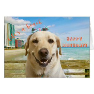 Funny Birthday Card Labrador Dog, innen schlicht