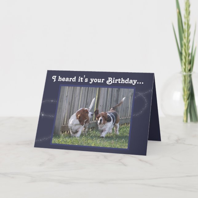 Funny Birthday Card mit Niedlichen Basset Hounds & Karte (Vorderseite)