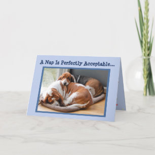 Funny Birthday Card mit Niedlicher Napping Basset  Karte