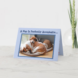 Funny Birthday Card mit Niedlicher Napping Basset  Karte