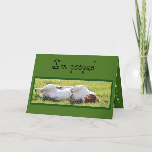 Funny Birthday Card mit Schlafbecken-Hof Karte (Vorderseite)