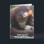Funny Birthday Card, Orangutan will Kuchen! Karte<br><div class="desc">Funny Birthday Card,  Orangutan will Kuchen!</div>