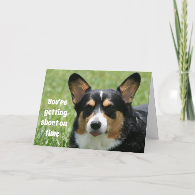 Funny Birthday Card Welsh Corgi Karte (Vorderseite)