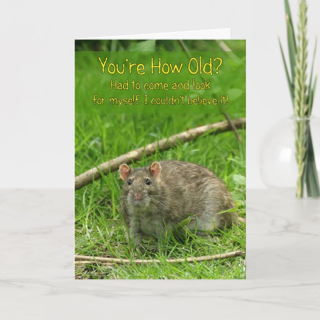 Funny Birthday Card - Wild Brown Rat Karte (Vorderseite)